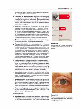 permite o uso seguro da morfi
na para otratamento dadorquan­
do a dosagem é titulada corretamente.
d. Depressão do reflexo da tosse. A morfina e a codeína pos­
suem propriedades antitussígenas. Em geral, a supressão da
tosse não se correlaciona bem com as propriedades analgési­
cas e de depressão respiratória dos opioides. Os receptores en­
volvidos naação antitussígena parecem serdiferentes daqueles
envolvidos na analgesia.
e. Miose. A pupila puntiforme, característica do uso da morfina,
resulta do estímulo dos receptores µ. e K. A morfina estimula o
núcleo de Edinger-Westphal do nervo oculomotor, o que cau­
sa aumento da estimulação parassimpática para o olho (Figura
14.4). Há pouca tolerância ao efeito, e todos os dependentes
de morfina apresentam pupilas puntiformes. (Nota: esse fato é
importante para o diagnóstico, já que muitas outras causas de
coma e depressão respiratória causam dilatação da pupila.)
f. Êmese. A morfi
na estimula diretamente a zona quimiorrecepto­
ra disparadora na área postrema que causa êmese.
g. Trato gastrintestinal. A morfina alivia a diarreia e a disenteria,
diminuindo a motilidade e aumentando o tônus do músculo liso
circular intestinal. Elatambém aumenta o tônus do esfíncteranal.
De uma maneira geral, a morfina e outros narcóticos provocam
constipação, com pouco desenvolvimento de tolerância. (Nota: a
associação laxante de venda livre do amolecedor de fezes do­
cusato com o laxante estimulante senna tem sido usado com
sucesso para tratar esta constipação induzida por opioides.) A
morfina também pode aumentar a pressão no trato biliar devido
à contração da vesícula biliar e à constrição do esfíncter biliar.
h. Cardiovascular. A morfi
na não exerce grandes efeitos sobre a
pressão arterial ou a frequência cardíaca, exceto em doses ele­
vadas, na qual podem ocorrer hipotensão e bradicardia. Devido
à depressão respiratória e à retenção de dióxido de carbono, os
vasos cerebrais se dilatam e aumentam a pressão do líquido ce­
rebrospinal. Assim, normalmente, a morfinaestá contraindicada
em indivíduos com lesão grave na cabeça ou no cérebro.
i. Liberação de histamina. A morfina provoca liberação de hista­
mina dos mastócitos, causando urticária, sudoração e vasodila­
tação. Como pode causar broncoconstrição, pacientes asmáti­
cos não devem receber o fármaco.
j. Ações hormonais. A morfina aumenta a liberação de hormônio
do crescimento e aumenta a secreção de prolactina. Elaaumen­
ta o hormônio antidiurético, levando, assim, à retenção urinária.
(Nota: como a morfina também pode inibir o reflexo de esvazia­
mento da bexiga urinária, pode ser necessária a cateterização.)
k. Parto. A morfina pode prolongar o segundo estágio do trabalho
de parto diminuindotemporariamente a força, a duração e a fre­
quência das contrações uterinas.
3. Usos terapêuticos
a. Analgesia. Mesmo com numerosas pesquisas, foram desenvol­
vidos poucos fármacos tão eficazes quanto a morfi
na no alívio
da dor. Os opioides induzem o sono e, em situações clínicas
Farmacologia Ilustrada 171
Alfentanila
Fentanila
Hidrocodona
Meperidina
Metadona
Morfina
Oxi
codona
Ramifentanila
Sufentanila
Buprenorfina
Nalbufina
Pentazoeina
Codeína
Figura 14.3
Baixa Alta
Comparação da eficácia máxima dos
analgésicos narcóticos comumente uti­
lizados.
Figura 14.4
A morfi
na causa aumento da estimula­
ção parassimpática no olho, resultando
na pupila puntiforme.
 