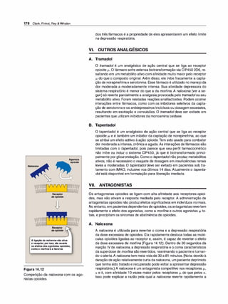 178 Clark, Finkel, Rey & Whalen
Agonista
opioide
Wlfíf�ff?
'CJjYX,
ctY:J--
----------
-
__J
�
Receptor
deopioide
Receptor
deopioide
Aligaçãodanaloxonanãoativa
oreceptor;porisso,elareverte
osefeitosdosagonistasopioides,
comoamorfinaeaheroína.
Figura 14.12
Competição da naloxona com os ago­
nistas opioides.
dos três fármacos é a propriedade de eles apresentarem um efeito limite
na depressão respiratória.
VI. OUTROS ANALGÉSICOS
A. Tramado!
O tramado/ é um analgésico de ação central que se liga ao receptor
opioide µ.. O fármaco sofre extensa biotransformação via CIP450 206, re­
sultando em um metabólito ativo com afinidade muito maior pelo receptor
µ. do que o composto original. Além disso, ele inibe fracamente a capta­
ção de norepinefrinae serotonina. Esse fármaco é utilizado no manejo da
dor moderada a moderadamente intensa. Sua atividade depressora do
sistema respiratório é menor do que a da morfina. A naloxona (ver a se­
guir) só reverte parcialmente a analgesia provocada pelo tramado/ou seu
metabólito ativo. Foram relatadas reações anafilactoides. Podem ocorrer
interações entre fármacos, como com os inibidores seletivos da capta­
ção de serotonina e os antidepressivos tricíclicos ou dosagem excessiva,
resultando em excitação e convulsões. O tramado/ deve ser evitado em
pacientes que utilizam inibidores da monoamina oxidase.
B. Tapentadol
O tapentadol é um analgésico de ação central que se liga ao receptor
opioide µ. e é também um inibidor da captação de norepinefrina, ao que
se atribui um efeito aditivo à ação opioide.Tem sido usado para combater
dor moderada a intensa, crônica e aguda. As interações de fármacos são
limitadas com o tapentado/, pois parece que seu perfil farmacocinético
não inibe ou induz o sistema CIP450, já que é biotransformado princi­
palmente por glicuronidação. Como o tapentadol não produz metabólitos
ativos, não é necessário o reajuste de dosagem em insuficiências renais
leves a moderadas. O tapentadoldeve ser evitado em pacientes sob tra­
tamento com IMAO, inclusive nos últimos 14 dias. Atualmente o tapenta­
dol está disponível em formulação para liberação imediata.
VII. ANTAGONISTAS
Os antagonistas opioides se ligam com alta afinidade aos receptores opioi­
des, mas não ativam a resposta mediada pelo receptor. A administração de
antagonistas opioides não produzefeitos significativos em indivíduos normais.
No entanto, em pacientes dependentes de opioides, os antagonistas revertem
rapidamente o efeito dos agonistas, como a morfina e outros agonistas µ. to­
tais, e precipitam os sintomas de abstinência de opioides.
A. Naloxona
A naloxona é utilizada para reverter o coma e a depressão respiratória
da dose excessiva de opioides. Ela rapidamente desloca todas as molé­
culas opioides ligadas ao receptor e, assim, é capaz de reverter o efeito
da dose excessiva de morfina (Figura 14.12). Dentro de 30 segundos da
injeção IV de naloxona, a depressão respiratória e o coma característicos
da superdose de morfi
na são revertidos, reanimando o paciente etornan­
do-o alerta.A naloxona tem meia-vidade 30 a 81 minutos. (Nota: devido à
duração de ação relativamente curta da naloxona, um paciente deprimido
que tenha sido tratado e recuperado pode voltar a apresentar depressão
respiratória.) A naloxona é um antagonista competitivo nos receptores µ.,
K e õ, com afinidade 1O vezes maior pelos receptores µ. do que pelos K.
Isso pode explicar a razão pela qual a naloxona reverte rapidamente a
 