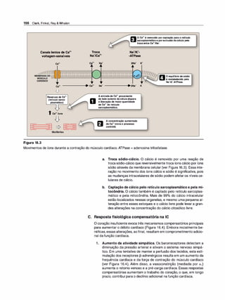 196 Clark, Finkel, Rey & Whalen
Canais lentos de Ca2+
voltagem-sensíveis
Ca2•
� OCa2•éremovidoporcaptaçãoparaoretículo
-----... E:Jlll sarcoplasmáticoeporextrusãodacélulapela
trocaentreCa2•1Na•.
ft Oequilíbriodesódio
U érestabelecidopela
-......_--"
Na•tK··ATPase.
Ca2• ------•llJi Ca2• Na• ------•llJi2Na• K
Figura 16.3
ReservasdeCa2•
(retículosarco­
plasmático)
f Ca2•livre
Miofibrilas
D
AentradadeCa2•proveniente
doladoexternodacéluladispara
aliberaçãode maiorquantidade
deCa2•doretículo
sarcoplasmático.
Aconcentraçãoaumentada
deCa2•iniciaoprocesso
contrátil.
Movimentos de íons durante a contração do músculo cardíaco. ATPase = adenosina trifosfatase.
a. Troca sódio-cálcio. O cálcio é removido por uma reação de
trocasódio-cálcio que reversivelmente troca íons cálcio por íons
sódio através da membrana celular (ver Figura 16.3). Essa inte­
ração no movimento dos íons cálcio e sódio é significativa, pois
as mudanças intracelulares de sódio podem afetar os níveis ce­
lulares de cálcio.
b. Captação de cálcio pelo retículo sarcoplasmático e pela mi­
tocôndria. O cálcio também é captado pelo retículo sarcoplas­
mático e pela mitocôndria. Mais de 99°
/
o do cálcio intracelular
estão localizados nessas organelas, e mesmo uma pequena al­
teração entre esses estoques e o cálcio livre pode levar a gran­
des alterações na concentração do cálcio citosólico livre.
C. Resposta fisiológica compensatória na IC
O coração insuficiente evoca três mecanismos compensatórios principais
para aumentar o débito cardíaco (Figura 16.4). Embora inicialmente be­
néficas, essas alterações, aofinal, resultam em comprometimento adicio­
nal dafunção cardíaca.
1. Aumento da atividade simpática. Os barorreceptores detectam a
diminuição da pressão arterial e ativam o sistema nervoso simpá­
tico. Em uma tentativa de manter a perfusão dos tecidos, esta esti­
mulação dos receptores J3-adrenérgicos resulta em um aumento da
frequência cardíaca e da força de contração do músculo cardíaco
(ver Figura 16.4). Além disso, a vasoconstrição (mediada por a, )
aumenta o retorno venoso e a pré-carga cardíaca. Essas respostas
compensatórias aumentam o trabalho do coração, o que, em longo
prazo, contribui para o declínio adicional na função cardíaca.
 