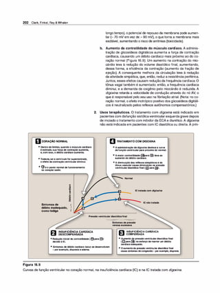 202 Clark, Finkel,Rey& Whalen
oCORAÇÃO NORMAL
• Dentro de limites, quando o músculo cardíaco
é estirado, sua força de contração aumenta,
e, com isso, o débito cardíaco aumenta.
• Todavia, se o ventrículo for superestirado,
o efeito da contração ventricular diminui.
• O é o ponto normal de funcionamento
no coração sadio.
o
�
·-
2.
longo tempo), o potencial de repouso da membrana pode aumen­
tar (- 70 mV em vez de - 90 mV), o que torna a membrana mais
excitável, aumentando o risco de arritmias (toxicidade).
b. Aumento da contratilidade do músculo cardíaco. A adminis­
tração de glicosídeos digitálicos aumenta a força de contração
cardíaca, causando um débito cardíaco mais próximo ao do co­
ração normal (Figura 16.9). Um aumento na contração do mio­
cárdio leva à redução do volume diastólico final, aumentando,
dessa forma, a eficiência da contração (aumento da fração de
ejeção). A consequente melhora da circulação leva à redução
da atividade simpática, que, então, reduz a resistência periférica.
Juntos, esses efeitos causam reduçãoda frequência cardíaca. O
tônus vagai também é aumentado; então, a frequência cardíaca
diminui, e a demanda de oxigênio pelo miocárdio é reduzida. A
digoxina retarda a velocidade de condução através do nó AV, o
que é responsável pelo seu uso na fibrilação atrial. (Nota: no co­
ração normal, o efeito inotrópico positivo dos glicosídeos digitáli­
cos é neutralizado pelos reflexos autônomos compensatórios.)
Usos terapêuticos. O tratamento com digoxina está indicado em
pacientes com disfunção sistólicaventricularesquerdagrave depois
de iniciado o tratamento com inibidor da ECA e diurético. A digoxina
não está indicada em pacientes com IC diastólica ou direita. A prin-
o TRATAMENTO COM DIGOXINA
• A administração de digoxina desloca a curva
defunção ventricular para próximo do normal.
• A maior contratilidade ([3para (!]) leva ao
aumento do débito cardíaco.
• A diminuição dos reflexos simpáticos e do
tônus vascular causa diminuição na pressão
ventricular diastólica final ([il para �).
Normal
'O
8
o
�
--
--
-
-
--
rn
�
· -
.....
-
rn...t:
IC tratada com digioxina
Figura 16.9
-
:s
i!
Sintomasde �
débitoinadequado,
comofadiga
IC não tratada
Pressão ventricular diastólicafinal
INSUFICIÊNCIA CARDÍACA
DESCOMPENSADA
• Redução inicial da contratilidade ( rJpara 0)
devido à IC.
• Sintomas de débito cardíaco baixo se desenvolvem
- por exemplo, dispneia e edema.
Sintomas de pressão
venosa excessiva
� INSUFICIÊNCIA CARDÍACA
� COMPENSADA
• Aumento da pressão ventricular diastólica final
( m para [3) no esforço de manter um débito
cardíaco adequado.
• O aumento da pressão ventricular diastólica final
causa sintomas de congestão - por exemplo, dispneia.
Curvas de função ventricular no coração normal, na insuficiência cardíaca (IC) e na IC tratada com digoxina.
 