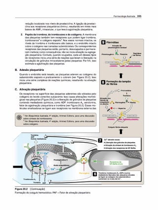 redução localizada nos níveis de prostaciclina. A ligação da prostaci­
clina aos receptores plaquetários diminui, resultando em níveis mais
baixos de AMPe intracelular, o que leva à aglutinação plaquetária.
2. Papéis da trombina, do tromboxano e do colágeno. A membrana
das plaquetas também tem receptores que podem ligar trombina,
tromboxanos
2
e colágeno exposto
3
• Nos vasos normais intactos, os
níveis de trombina e tromboxano são baixos, e o endotélio intacto
cobre o colágeno nas camadas subendoteliais. Os correspondentes
receptores das plaquetas estão, portanto, desocupados e permane­
cem inativos; como consequência, não se inicia ativação ou agrega­
ção plaquetária. Contudo, quando ocupados, cada um desses tipos
de receptores inicia uma série de reações que levam à liberação na
circulação de grânulos intracelulares pelas plaquetas. Por fim, isso
estimula a aglutinação das plaquetas.
B. Adesão plaquetária
Quando o endotélio está lesado, as plaquetas aderem ao colágeno do
subendotélio exposto e praticamente o cobrem (ver Figura 20.2). Isso
inicia uma série complexa de reações químicas, resultando na ativação
plaquetária.
C. Ativação plaquetária
.
·
.
.
..
........
.....
Os receptores na superfície das plaquetas aderentes são ativados pelo
colágeno do tecido conectivo subjacente. Isso causa alterações morfoló­
gicas nas plaquetas (Figura 20.3) e a liberação de grânulos de plaquetas
contendo mediadores químicos, como ADP, tromboxano A2, serotonina,
fator de aglutinação plaquetária e trombina (ver Figura 20.2). Essas mo­
léculas sinalizadoras se ligam aos receptores na membrana externa das
.
..
2 Ver Bioquímica ilustrada, 4ª edição, Artmed Editora, para uma discussão
sobre síntese de tromboxanos.
3 Ver Bioquímica ilustrada, 4ª edição, Artmed Editora, para uma discussão
sobre colágeno.
TromboxanoA2
Trombina ADP
FlbrlnogAnlo
Figura 20.2 (Continuação)
Formação do coágulo hemostático. PAF = Fator de ativação plaquetário.
Farmacologia Ilustrada 245
m Fibrinólise
Ativadorde
plasminogêniotecidual
.!J.
PI · ê · 0 PI · Peptídeos
asm1nog n10 "' asm1na /defibrina
� .!J. �
���
,
_
�
_
- �
------
� �
r.11 Formação do tampão
li:il de fibrina
� Protrombina
t
Trombina
��
���
:c::os
� �
coagulação 0 o 0 Fibrinogênio "' Fibrina
�
no plasma
O <·""'"' Heparina
Coágulofibrina-plaqueta
Receptoresde
GP llb/lllaativos
�
s
,
�

 

 

���
Trombina,tromboxano A2,ADPe outros
mediadores liberados das plaquetasativadas
se ligam ao colágeno do subendotélioe
aumentam os níveis deCa2•.
 