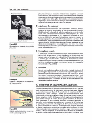 246 Clark,Finkel,Rey& Whalen
Plaquetaemrepouso
Plaquetaativada
Figura 20.3
Micrografias por escaneio eletrônico de
plaquetas.
�AUvaçio plaquotério
� Fibrinogênio
Aglutinação plaquetária t
� 4
Receptores
ativos �4
Figura 20.4
Ativação e aglutinação de plaquetas.
GP = glicoproteína.
Figura 20.5
Acido
acetllsallcDlco
O ácido acetilsalicílico inibe irreversivel­
mente a ciclo-oxigenase-1 .
plaquetas em repouso circulantes vizinhas. Esses receptores funcionam
como sensores que são ativados pelos sinais enviados das plaquetas
aderentes. As plaquetas previamente dormentes se tornam ativas e ini­
ciam a aglutinação. Estas ações são mediadas por vários sistemas men­
sageiros que, no final, resultam na elevação dos níveis de Ca
2
+ e na dimi­
nuição da concentração de AMPe dentro da plaqueta.
D. Aglutinação das plaquetas
O aumento do cálcio citosólico que acompanha a ativação é devido à
liberação de estoques sequestrados no interior da plaqueta (ver Figura
20.2). Isso leva 1) à liberação de grânulos de plaquetas contendo media­
dores, como ADP e serotonina, que ativam outras plaquetas; 2) à ativa­
ção da síntese de tromboxano A2; 3) à ativação dos receptores de glico­
proteínas (GP) llb/llla que ligam fibrinogênio e, finalmente, regulam as
interações plaquetas-plaquetas e a formação dotrombo (ver Figura 20.2).
O fibrinogênio, uma GP plasmática solúvel, liga-se simultaneamente aos
receptores de GP llb/llla de duas plaquetas vizinhas, resultando na liga­
ção cruzada das plaquetas e na sua aglutinação. Isso leva a uma avalan­
che de aglutinação plaquetária, pois cada plaqueta ativada pode recrutar
outras plaquetas (Figura 20.4).
E. Formação do coágulo
A estimulação local da cascata de coagulação pelos fatores teciduais li­
berados dos tecidos lesados e pelos mediadores da superfície das pla­
quetas resulta na formação de trombina (Fator llA), uma serina protease.
A trombina, por sua vez, catalisa a hidrólise do fibrinogênio em fibrina,
que é incorporada no tampão. Ligações cruzadas subsequentes das tiras
de fibrina estabilizam o coágulo e formam um tampão fibrina-plaquetas
hemostático (ver Figura 20.2).
F. Fibrinólise
Durante a formação do tampão, a via fibrinolítica é ativada localmente. O
plasminogênio é processado enzimaticamente à plasmina (fibrinolisina)
pelos ativadores de plasminogênio nos tecidos (ver Figura 20.2). A pias­
mina limita o crescimento do coágulo e dissolve a rede de fibrina à medi­
da que ocorre a cicatrização. Atualmente, inúmeras enzimas fibrinolíticas
estão disponíveis para otratamento de infarto do miocárdio, êmbolos pul­
monares e choques isquêmicos.
IV. INIBIDORES DA AGLUTINAÇÃO PLAQUETÁRIA
Os inibidores da aglutinação plaquetária diminuem a formação ou a ação dos
sinais químicos promotores da aglutinação. A última etapa nessa resposta
ao traumatismo vascular depende de uma família de receptores de GP de
membrana que - após a ativação - podem ligar proteínas adesivas, como
o fibrinogênio, o fator de von Willebrand e a fibronectina. O mais importante
desses receptores é o GP llb/llla que, no final, regula a interação plaqueta­
-plaqueta e a formação do trombo. Assim, agentes ativadores de plaquetas,
como tromboxano A2, ADP, trombina, serotonina e colágeno, promovem as
alterações conformacionais necessárias para o receptor de GP llb/llla fixar
os ligantes, particularmente o fibrinogênio. O fibrinogênio simultaneamente
se liga aos receptores de GP llb/llla em duas plaquetas vizinhas, resultando
na ligação cruzada entre as plaquetas e na aglutinação (ver Figura 20.4). Os
inibidores da aglutinação de plaquetas descritos a seguir inibem a ciclo-oxige­
nase-1 (COX-1) ou bloqueiam os receptores de GP llb/llla ou ADP, interferin­
do, assim, no sinal que promove a aglutinação plaquetária. Como estas subs-
 