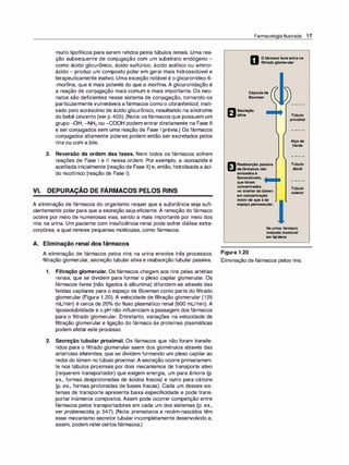 muito lipofílicos para serem retidos pelos túbulos renais. Uma rea­
ção subsequente de conjugação com um substrato endógeno -
como ácido glicurônico, ácido sulfúrico, ácido acético ou amino­
ácido - produz um composto polar em geral mais hidrossolúvel e
terapeuticamente inativo. Uma exceção notável é o glicuronídeo-6-
-morfina, que é mais potente do que a morfina. A glicuronidação é
a reação de conjugação mais comum e mais importante. Os neo­
natos são deficientes nesse sistema de conjugação, tornando-os
particularmente vulneráveis a fármacos comoo c/oranfenico/, inati­
vado pelo acréscimo de ácido glicurônico, resultando na síndrome
do bebê cinzento (ver p. 405). (Nota: osfármacos que possuem um
grupo-OH, -NH2 ou -COOH podem entrar diretamente na Fase li
e ser conjugados sem uma reação de Fase 1 prévia.) Os fármacos
conjugados altamente polares podem então ser excretados pelos
rins ou com a bile.
3. Reversão da ordem das fases. Nem todos os fármacos sofrem
reações de Fase 1 e li nessa ordem. Por exemplo, a isoniazida é
acetilada inicialmente (reação de Fase li) e, então, hidrolisada a áci­
do nicotínico (reação de Fase 1).
VI. DEPURAÇÃO DE FÁRMACOS PELOS RINS
A eliminação de fármacos do organismo requer que a substância seja sufi­
cientemente polar para que a excreção seja eficiente. A remoção do fármaco
ocorre por meio de numerosas vias, sendo a mais importante por meio dos
rins na urina. Um paciente com insuficiência renal pode sofrer diálise extra­
corpórea, a qual remove pequenas moléculas, como fármacos.
A. Eliminação renal dos fármacos
Farmacologia Ilustrada 17
D
Ofármaco livreentra no
filtrado glomerular
Cápsulade
Bowman
� Secreção
U ativa
f!ll Reabsorção passiva
1E':i1 defármacos não
ionizadose
lipossolúveis,
queforam
concentrados
no interior do lúmen
em concentração
maior do que a do
espaço perivascular.
Túbulo
proximal
Alça de
Henle
Túbulo
distal
Túbulo
coletor
Na urina: fármaco
ionizado insolúvel
em lipídeos
A eliminação de fármacos pelos rins na urina envolve três processos: Figura 1 .20
filtração glomerular, secreção tubular ativa e reabsorção tubular passiva. Eliminação de fármacos pelos rins.
1 . Filtração glomerular. Os fármacos chegam aos rins pelas artérias
renais, que se dividem para formar o plexo capilar glomerular. Os
fármacos livres (não ligados à albumina) difundem-se através das
fendas capilares para o espaço de Bowman como parte do filtrado
glomerular (Figura 1 .20). A velocidade de filtração glomerular (125
mUmin) é cerca de 20°
/
o do fluxo plasmático renal (600 mUmin). A
lipossolubilidade e o pH não influenciam a passagem dos fármacos
para o filtrado glomerular. Entretanto, variações na velocidade de
filtração glomerular e ligação do fármaco às proteínas plasmáticas
podem afetar este processo.
2. Secreção tubular proximal. Os fármacos que não foram transfe­
ridos para o filtrado glomerular saem dos glomérulos através das
arteríolas eferentes, que se dividem formando um plexo capilar ao
redor do lúmen no túbulo proximal. A secreção ocorre primariamen­
te nos túbulos proximais por dois mecanismos de transporte ativo
(requerem transportador) que exigem energia, um para ânions (p.
ex., formas desprotonadas de ácidos fracos) e outro para cátions
(p. ex., formas protonadas de bases fracas). Cada um desses sis­
temas de transporte apresenta baixa especificidade e pode trans­
portar inúmeros compostos. Assim pode ocorrer competição entre
fármacos pelos transportadores em cada um dos sistemas (p. ex.,
ver probenecida, p. 547). (Nota: prematuros e recém-nascidos têm
esse mecanismo secretor tubular incompletamente desenvolvido e,
assim, podem retercertos fármacos.)
 