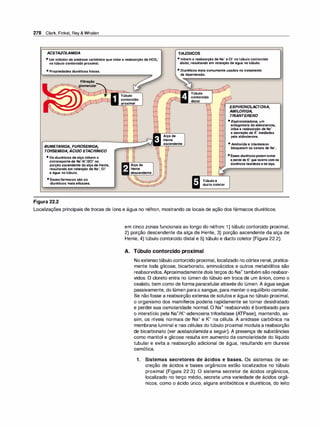 278 Clark, Finkel, Rey & Whalen
ACET
AZOLAMIDA TIAZÍDICOS
•UminibidordaanidrasecarbônicaqueinibeareabsorçãodeHC03-
notúbulocontorcidoproximal.
•InibemareabsorçãodeNa•ec1-notúbulocontorcido
distal,resultandoemretençãodeáguanotúbulo.
•Propriedadesdiuréticasfracas.
BUMET
ANIDA, FUROSEMIDA,
TORSEMIDA, ÁCIDO ET
ACR
Í
NICO
•Osdiuréticosdealçainibemo
cotransportedeNa•1K·12crna
porçãoascendentedaalçadeHenle,
resultandoemretençãodeNa+,cr
eáguanotúbulo.
•Essesfármacossãoos
diuréticosmaiseficazes.
Figura 22.2
Túbulo
contorciCio
proximal
Alçade
Henle
descendente
• Diuréticosmaiscomumenteusadosnotratamento
dahipertensão.
Alçade
Henle
ascendente
Túbulo
contorcido
distal
Túbuloe
duetocoletor
ESP/RONOLACTONA,
AMILOR/DA,
TRIANTERENO
•Espirono/actona, um
antagonistadaaldosterona,
inibeareabsorçãode Na•
asecreçãodeK•mediadas
pelaaldosterona.
•Amilorida etri
antereno
bloqueiamoscanaisdeNa•.
• Essesdiuréticospodemevitar
aperdadeK•queocorrecomos
diuréticostiazídicosedealça.
Localizações principais de trocas de íons e água no néfron, mostrando os locais de ação dos fármacos diuréticos.
em cinco zonas funcionais ao longo do néfron: 1) túbulo contorcido proximal,
2) porção descendente da alça de Henle, 3) porção ascendente da alça de
Henle, 4) túbulo contorcido distal e 5) túbulo e dueto coletor (Figura 22.2).
A. Túbulo contorcido proximal
No extensotúbulo contorcido proximal, localizado no córtex renal, pratica­
mente toda glicose, bicarbonato, aminoácidos e outros metabólitos são
reabsorvidos.Aproximadamente dois terços do Na+também são reabsor­
vidos. O cloreto entra no lúmen do túbulo em troca de um ânion, como o
oxalato, bem como de forma paracelularatravés do lúmen. A água segue
passivamente, do lúmen parao sangue, para manter o equilíbrio osmolar.
Se não fosse a reabsorção extensa de solutos e água no túbulo proximal,
o organismo dos mamíferos poderia rapidamente se tornar desidratado
e perder sua osmolaridade normal. O Na+ reabsorvido é bombeado para
o interstício pela Na+/K+-adenosina trifosfatase (ATPase), mantendo, as­
sim, os níveis normais de Na+ e K+ na célula. A anidrase carbônica na
membrana luminal e nas células do túbulo proximal modula a reabsorção
de bicarbonato (ver acetazolamida a seguir). A presença de substâncias
como manitol e glicose resulta em aumento da osmolaridade do líquido
tubular e evita a reabsorção adicional de água, resultando em diurese
osmótica.
1 . Sistemas secretores de ácidos e bases. Os sistemas de se­
creção de ácidos e bases orgânicos estão localizados no túbulo
proximal (Figura 22.3). O sistema secretor de ácidos orgânicos,
localizado no terço médio, secreta uma variedade de ácidos orgâ­
nicos, como o ácido úrico, alguns antibióticos e diuréticos, do leito
 