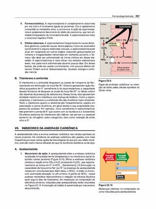 4. Farmacocinética. A espironolactona é completamente absorvida
por via oral e é fortemente ligada às proteínas. Ela é rapidamente
convertida no metabólito ativo, a canrenona. A ação da espironolac­
tona é amplamente decorrente do efeito da canrenona, que tem ati­
vidade bloqueadora de mineralocorticoide. A espironolactona induz
o citocromo hepático P450.
5. Efeitos adversos. A espironolactona frequentemente causa distúr­
bios gástricos, podendo causar úlcera péptica. Como se assemelha
quimicamente a alguns esteroides sexuais, a espironolactona pode
atuar em receptores em outros órgãos, induzindo ginecomastia em
homens e irregularidades menstruais em mulheres; portanto, o fár­
maco não deve ser administrado de forma crônica em doses ele­
vadas. A espironolactona é mais eficaz nos estados edematosos
leves, nos quais ela é administrada durante poucos dias. Em doses
baixas, ela pode ser usada cronicamente, com poucos efeitos ad­
versos. Podem ocorrer hiperpotassemia, náuseas, letargia e confu­
são mental.
B. Triantereno e amilorida
O triantereno e a amilorida bloqueiam os canais de transporte de Na+,
resultando em diminuição na troca Na+/K+. Embora apresentem ação diu­
rética poupadora de K+ semelhante à da espironolactona, a capacidade
desses fármacos de bloquear os locais de troca Na+/K+ no túbulo coletor
não depende da presençade aldosterona. Dessa forma, eles apresentam
atividade mesmo em indivíduos com doença de Addison. Como a espiro­
nolactona, o triantereno e a amilorida não são diuréticos muito eficientes.
Tanto o tri
antereno quanto a amilorida são frequentemente usados em
associação a outros diuréticos, em geral devido à sua propriedade pou­
padora de potássio. Por exemplo, muito semelhante à espironolactona,
eles previnem a perdade K+que ocorre com os tiazídicos e a furosemida.
Os efeitos adversos do triantereno são cãibras nas pernas e o possível
aumento do nitrogênio ureico sanguíneo, bem como retenção de ácido
úrico e K+.
VII. INIBIDORES DA ANIDRASE CARBÔNICA
A acetazolamida inibe a enzima anidrase carbônica nas células epiteliais do
túbulo proximal. Os inibidores da anidrase carbônica são usados com mais
frequência porsuas outras ações farmacológicas do que por seu efeito diuré­
tico, pois são muito menos eficazes do que os diuréticos tiazídicos ou de alça.
A. Acetazolamida
1 . Mecanismo de ação. A acetazolamida inibe a anidrase carbônica
localizada intracelularmente (citoplasma) e na membrana apical do
epitélio tubular proximal (Figura 22.9). (Nota: a anidrase carbônica
catalisaa reação entre C02 e H20, produzindo H2C03, que esponta­
neamente se ioniza em H+ e HCO 3- [bicarbonato].) A diminuição na
capacidade detrocaentre Na+ por H+ na presença de acetazolamida
resulta em umadiurese leve.Além disso, o HC03-é retido no lúmen,
com acentuada elevação no pH urinário. A perda de HC03- causa
acidose metabólica hiperclorêmica e redução da eficácia diurética
após alguns dias de tratamento. As mudanças na composição de
eletrólitos urinários, induzidas pela acetazolamida, estão resumidas
na Figura 22.1O. A excreção de fosfato é aumentada por mecanismo
desconhecido.
Farmacologia Ilustrada 287
Lúmen
H20 + C02
___.________, t
Anidrase
carbônica
Célula epitelial
do túbulo renal
Figura 22.9
Sangue
Papel da anidrase carbônica na reten­
ção de sódio pelas células epiteliais do
túbulo renal.
Figura 22.1O
HC0-
3
Volume
de urina
Mudanças relativas na composição da
urina induzidas pela acetazolamida.
 
