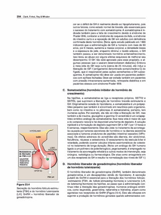 294 Clark, Finkel, Rey & Whalen
HIPOTÁLAMO
Moduladores
deliberação i..-"'
deFSHeLH
Leupro/ida
Goserrelina
Nafarrelina
Histrelina
GnRH
HIPÓFISE
Figura 23.4
LOBO
ANTERIOR
FSH,LH
o
FSH,LH
Secreção do hormônio folículo-estimu­
lante (FSH) e do hormônio luteinizante
(LH). GnRH = hormônio liberador de
gonadotropina.
cer se o déficit de GH é realmente devido ao hipopituitarismo, pois
outros fatores, como estado normal da tireoide, são essenciais para
o sucesso do tratamento com somatotropina. A somatotropina é in­
dicada também para a falta de crescimento devido à síndrome de
Prader-Willi, combater a síndrome de caquexia daAids, a síndrome
do intestino curto e a reposição de GH em adultos com deficiência
confirmada deste hormônio. (Nota: após estudo publicado em 1 990
indicando que a administração de GH a homens com mais de 60
anos, por 6 meses, aumenta a massa corporal, a densidade óssea
e a espessura da pele, enquanto diminui o tecido adiposo, o GH
também passou a ser denominado hormônio antienvelhecimento.
Isso levou ao abuso por alguns atletas sequiosos de melhorar seu
desempenho. O GH não está aprovado para esse propósito, e al­
gumas pessoas que o usaram desenvolveram diabetes.) Embora
a meia-vida do GH seja curta (cerca de 25 minutos), ele induz a
liberação de IGF-1 (antigamente denominado somatomedina C) do
fígado, que é responsável pelas ações semelhantes a GH subse­
quentes. A somatropina não deve ser usada em pacientes pediátri­
cos com epífises fechadas. Deve ser evitada também em pacientes
com pressão intracraniana aumentada, retinopatia diabética e em
pacientes obesos com síndrome Prader-Willi.
C. Somatostatina (hormônio inibidor do hormônio do
crescimento)
Na hipófise, a somatostatina se liga a receptores próprios, SSTR2 e
SSTRS, que suprimem a liberação de hormônio tireoide estimulante e
GH. Originalmente isolada do hipotálamo, a somatostati
na é um polipep­
tídeo pequeno que também é encontrado em neurônios pelo organismo,
bem como no intestino e no pâncreas. A somatostatina, portanto, tem
inúmeras ações. Por exemplo, ela não só inibe a liberação de GH, mas
também a de insulina, glucagônio e gastrina. O ocreotídeo é um octapep­
tídeo sintético análogo da somatostatina. Sua meia-vida é maior do que
a do composto natural e há disponível uma forma de depósito. A solução
injetável e a formulação de depósito suprimem GH e IGF-1 por 1 2 horas e
6 semanas, respectivamente. Elas são úteis no tratamento da acromega­
lia causada por tumores secretores de hormônio e na diarreia secretória
associada a tumores produtores de peptídeo intestinal vasoativo (VIPo­
mas). Os efeitos adversos do ocreotídeo são diarreia, dor abdominal,
flatulência, náuseas e esteatorreia. O esvaziamento da vesícula biliar é
retardado, podendo ocorrer cálculos biliares assintomáticos de coleste­
rol no tratamento de longa duração. (Nota: um análogo do GH humano
ligado a um polímero de polietilenoglicol, pegvisomanto, é empregado no
tratamento da acromegalia refratáriaa outros modos de intervenção, seja
cirúrgica, radiológica ou farmacológica. Ele atua como antagonista em
um dos receptores do GH e resulta na normalização dos níveis de IGF-1.)
D. Hormônio liberador de gonadotropina (hormônio liberador
de hormônio luteinizante)
O hormônio liberador de gonadotropina (GnRH), também denominado
gonadorrelina, é um decapeptídeo obtido do hipotálamo. A secreção
pulsátil do GnRH é essencial para a liberação dos hormônios folículo­
-estimulante (FSH, de follic/e-stimulati
ng hormone) e luteinizante (LH,
de luteinizing hormone) da hipófise, ao passo que a administração con­
tínua inibe a liberação das gonadotropinas. Inúmeros análogos sintéti­
cos, como /euprolida, goserrelina, nafarrelina e histrelina, atuam como
agonistas nos receptores do GnRH (Figura 23.4). Eles são eficazes em
suprimir a produção de hormônios gonadais quando administrados con-
 