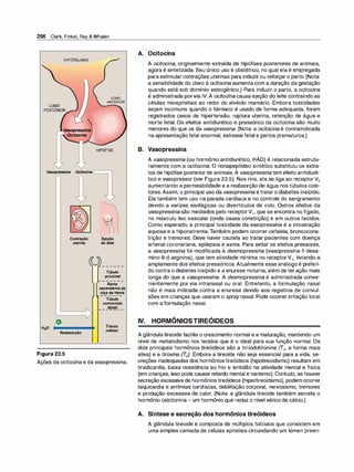 296 Clark, Finkel, Rey & Whalen
HIPOTÁLAMO
LOBO
POSTERIOR.--'
....--JL,V,asopressina
Ocitocina
LOBO
ANTERIOR
HIPÓFISE
o
6
Contração Ejeção
o
uterina doleite
Túbulo
proximal
Ramo
ascendenteda
alçadeHenle
Túbulo
contorcido
distal
Reabsorção
Túbulo
coletor
Figura 23.5
Ações da ocitocina e da vasopressina.
A. Ocitocina
A ocitocina, originalmente extraída de hipófises posteriores de animais,
agora é sintetizada. Seu único uso é obstétrico, no qual ela é empregada
para estimular contrações uterinas para induzirou reforçar o parto. (Nota:
a sensibilidade do útero à ocitocina aumenta com a duração da gestação
quando está sob domínio estrogênico.) Para induzir o parto, a ocitocina
é administrada porvia IV. A ocitoci
na causa ejeção do leite contraindo as
células mioepiteliais ao redor do alvéolo mamário. Embora toxicidades
sejam incomuns quando o fármaco é usado de forma adequada, foram
registrados casos de hipertensão, ruptura uterina, retenção de água e
morte fetal. Os efeitos antidiurético e pressórico da ocitocina são muito
menores do que os da vasopressina. (Nota: a ocitocina é contraindicada
na apresentação fetal anormal, estresse fetal e partos prematuros.)
B. Vasopressina
A vasopressina (ou hormônio antidiurético, HAD) é relacionada estrutu­
ralmente com a ocitocina. O nonapeptídeo sintético substituiu os extra­
tos de hipófise posterior de animais. A vasopressina tem efeito antidiuré­
tico e vasopressor (ver Figura 23.5). Nos rins, ela se liga ao receptor V2
aumentando a permeabilidade e a reabsorção de água nos túbulos cole­
tores. Assim, o principal uso da vasopressina étratar o diabetes insípido.
Ela também tem uso na parada cardíaca e no controle do sangramento
devido a varizes esofágicas ou divertículos de colo. Outros efeitos da
vasopressina são mediados pelo receptorV1 , que se encontra no fígado,
no músculo liso vascular (onde causa constrição) e em outros tecidos.
Como esperado, a principal toxicidade da vasopressina é a intoxicação
aquosa e a hiponatremia.Também podem ocorrer cefaleia, broncocons­
trição e tremores. Deve haver cautela ao tratar pacientes com doença
arterial coronariana, epilepsia e asma. Para evitar os efeitos pressores,
a vasopressina foi modificada à desmopressina (vasopressina-1-desa­
mino-8-d-arginina), que tem atividade mínima no receptorV,, livrando-a
amplamente dos efeitos pressóricos. Atualmente esse análogo é preferi­
do contra o diabetes insípido e a enurese noturna, além de teração mais
longa do que a vasopressina. A desmopressina é administrada conve­
nientemente por via intranasal ou oral. Entretanto, a formulação nasal
não é mais indicada contra a enurese devido aos registros de convul­
sões em crianças que usaram o spraynasal. Pode ocorrer irritação local
com a formulação nasal.
IV. HORMÔNIOSTIREÓIDEOS
A glândula tireoide facilita o crescimento normal e a maturação, mantendo um
nível de metabolismo nos tecidos que é o ideal para sua função normal. Os
dois principais hormônios tireóideos são a tri-iodotironina (T3, a forma mais
ativa) e a tiroxina (T
.J. Embora a tireoide não seja essencial para a vida, se­
creções inadequadas dos hormônios tireóideos (hipotireoidismo) resultam em
bradicardia, baixa resistência ao frio e lentidão na atividade mental e física
(em crianças, isso pode causar retardo mental e nanismo). Contudo, se houver
secreção excessiva de hormôniostireóideos (hipertireoidismo), podem ocorrer
taquicardia e arritmias cardíacas, debilitação corporal, nervosismo, tremores
e produção excessiva de calor. (Nota: a glândula tireoide também secreta o
hormônio calcitonina- um hormônio que reduz o nível sérico de cálcio.)
A. Síntese e secreção dos hormônios tireóideos
A glândula tireoide é composta de múltiplos folículos que consistem em
uma simples camada de células epiteliais circundando um lúmen preen-
 