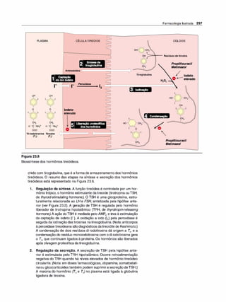 PLASMA CÉLULATIREOIDE
S
íntese de
tlroglobullna
Aminoácidos -
-
-
-
-
-
-==;
:--
-
-
-
--,
Farmacologia Ilustrada 297
COLOIDE
OH ::::::=�-- Resíduosdetirosina
o
CH2
Propiltiouracil
Metimazol
Tiroglobulina
OH
o'
o
1 o1
11-lz
H - C -NH+
1 3
coo-
OH
1 01
o
1 01
q1-1.z
H - C- N1i3+
1
coo-
Tri-iodotironina Tiroxina
(Ta) (T4)
Figura 23.6
Iodeto
elevado
Peroxidase
-------+
12
Liberação proteolítica
dos hormônios
Biossíntese dos hormônios tireóideos.
lodinação
HO
o
1o 1
chido com tiroglobulina, que é aforma de armazenamento dos hormônios
tireóideos. O resumo das etapas na síntese e secreção dos hormônios
tireóideos está representado na Figura 23.6.
1. Regulação da síntese. A função tireóidea é controlada por um hor­
mônio trópico, o hormônio estimulante da tireoide (tirotropina ou TSH,
de thyroid-stímulatíng hormone). O TSH é uma glicoproteína, estru­
turalmente relacionada ao LH e FSH, sintetizada pela hipófise ante­
rior (ver Figura 23.2). A geração de TSH é regulada pelo hormônio
liberador de tirotropina hipotalâmico (TRH, de thyrotropin-releasíng
hormone). A ação doTSH é mediada pelo AMPe e leva à estimulação
da captação de iodeto (1-). A oxidação a iodo (12) pela peroxidase é
seguida da iodinaçãodastirosinas natireoglobulina. (Nota: anticorpos
à peroxidasetireoideana sãodiagnósticos da tireoidite de Hashimoto.)
A condensação de dois resíduos di-iodotirosina dá origem a T
4, e a
condensação do resíduo monoiodotirosina com o di-iodotirosina gera
o T3, que continuam ligados à proteína. Os hormônios são liberados
após clivagem proteolítica da tireoglobulina.
2. Regulação da secreção. A secreção de TSH pela hipófise ante­
rior é estimulada pelo TRH hipotalâmico. Ocorre retroalimentação
negativa do TRH quando há níveis elevados de hormônio tireóideo
circulante. (Nota: em doses farmacológicas, dopamína, somatostatí­
na ou glicocorticoides também podem suprimira secreção deTSH.)
A maioria do hormônio (T3 e T4) no plasma está ligada à globulina
ligadora de tiroxina.
OH
o
Condensação
Propiltiouracil
Metimazol
 