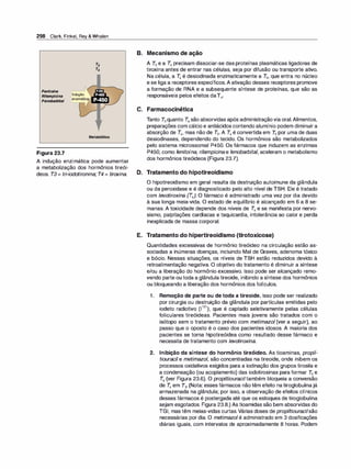 298 Clark, Finkel, Rey & Whalen
Fenitoí
na
Rifampicina
Fenobarbital
Figura 23.7
Indução
enzimátic
Metabólitos
A indução enzimática pode aumentar
a metabolização dos hormônios tireói­
deos. T3 = tri-iodotironina; T4 = tiroxina.
B. Mecanismo de ação
A T3 e a T
4 precisam dissociar-se das proteínas plasmáticas ligadoras de
tiroxina antes de entrar nas células, seja por difusão ou transporte ativo.
Na célula, a T
4 é desiodinada enzimaticamente a T
3, que entra no núcleo
e se liga a receptores específicos.A ativação desses receptores promove
a formação de RNA e a subsequente síntese de proteínas, que são as
responsáveis pelos efeitos daT4•
C. Farmacocinética
Tanto T3 quanto T4 são absorvidas após administraçãovia oral.Alimentos,
preparações com cálcio e antiácidos contendo alumínio podem diminuir a
absorção de T
4, mas não de T3• A T
4 é convertida em T
3 por uma de duas
desiodinases, dependendo do tecido. Os hormônios são metabolizados
pelo sistema microssomal P450. Os fármacos que induzem as enzimas
P450, como fenitoína, rifampicina e fenobarbital, aceleram o metabolismo
dos hormônios tireóideos (Figura 23.7).
D. Tratamento do hipotireoidismo
O hipotireoidismo em geral resulta da destruição autoimune da glândula
ou da peroxidase e é diagnosticado pelo alto nível de TSH. Ele é tratado
com levotiroxina (T4). O fármaco é administrado uma vez por dia devido
à sua longa meia-vida. O estado de equilíbrio é alcançado em 6 a 8 se­
manas. A toxicidade depende dos níveis de T
4 e se manifesta por nervo­
sismo, palpitações cardíacas e taquicardia, intolerância ao calor e perda
inexplicada de massa corporal.
E. Tratamento do hipertireoidismo (tirotoxicose)
Quantidades excessivas de hormônio tireóideo na circulação estão as­
sociadas a inúmeras doenças, incluindo Mal de Graves, adenoma tóxico
e bócio. Nessas situações, os níveis de TSH estão reduzidos devido à
retroalimentação negativa. O objetivo do tratamento é diminuir a síntese
e/ou a liberação do hormônio excessivo. Isso pode ser alcançado remo­
vendo parte ou toda a glândula tireoide, inibindo a síntese dos hormônios
ou bloqueando a liberação dos hormônios dos folículos.
1. Remoção de parte ou de toda a tireoide. Isso pode ser realizado
por cirurgia ou destruição da glândula por partículas emitidas pelo
iodeto radiotivo (113
1), que é captado seletivamente pelas células
foliculares tireóideas. Pacientes mais jovens são tratados com o
isótopo sem o tratamento prévio com metimazol (ver a seguir), ao
passo que o oposto é o caso dos pacientes idosos. A maioria dos
pacientes se torna hipotireóidea como resultado desse fármaco e
necessita de tratamento com levotiroxi
na.
2. Inibição da síntese do hormônio tireóideo. As tioaminas, propil­
tiouraci/ e metimazo/, são concentradas na tireoide, onde inibem os
processos oxidativos exigidos para a iodinação dos grupos tirosila e
a condensação (ou acoplamento) das iodotirosinas para formar T
3 e
T4 (ver Figura 23.6). O propiltiouraciltambém bloqueia a conversão
de T
4 em T3• (Nota: esses fármacos não têm efeito na tiroglobulinajá
armazenada na glândula; por isso, a observação de efeitos clínicos
desses fármacos é postergada até que os estoques de tiroglobulina
sejam esgotados. Figura 23.8.) As tioamidas são bem absorvidas do
TGI, mas têm meias-vidas curtas.Várias doses de propiltiouraci/são
necessárias por dia. O metimazol é administrado em 3 dosificações
diárias iguais, com intervalos de aproximadamente 8 horas. Podem
 