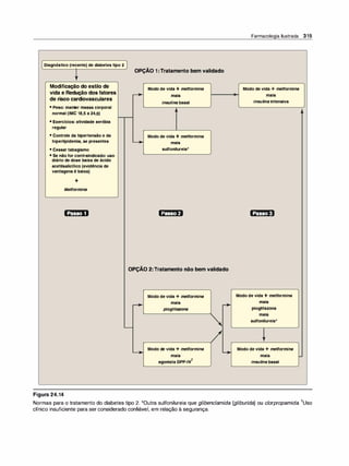 Farmacologia ilustrada 5° ediçao.pdf