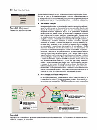 Farmacologia ilustrada 5° ediçao.pdf
