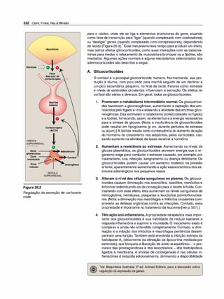 Farmacologia ilustrada 5° ediçao.pdf