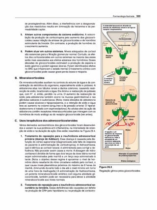 Farmacologia ilustrada 5° ediçao.pdf