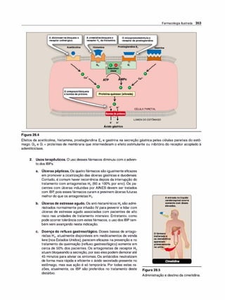 Farmacologia ilustrada 5° ediçao.pdf