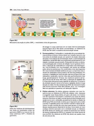 Farmacologia ilustrada 5° ediçao.pdf