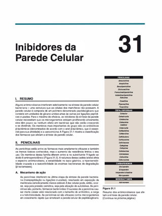 Farmacologia ilustrada 5° ediçao.pdf