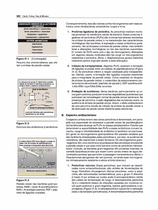 Farmacologia ilustrada 5° ediçao.pdf