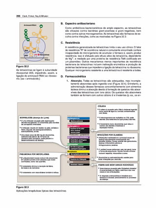 Farmacologia ilustrada 5° ediçao.pdf