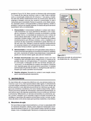 Farmacologia ilustrada 5° ediçao.pdf