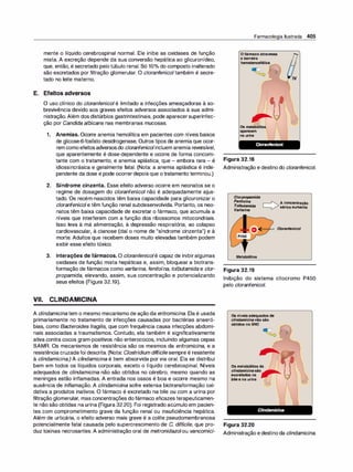Farmacologia ilustrada 5° ediçao.pdf