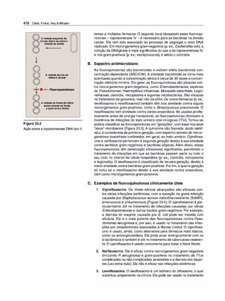 Farmacologia ilustrada 5° ediçao.pdf