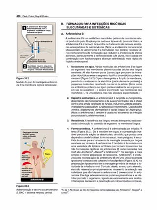 Farmacologia ilustrada 5° ediçao.pdf