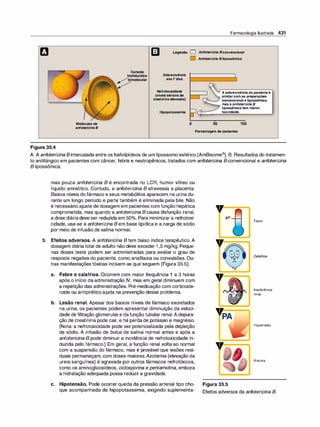 Farmacologia ilustrada 5° ediçao.pdf