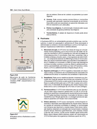 Farmacologia ilustrada 5° ediçao.pdf
