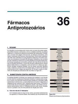 Farmacologia ilustrada 5° ediçao.pdf