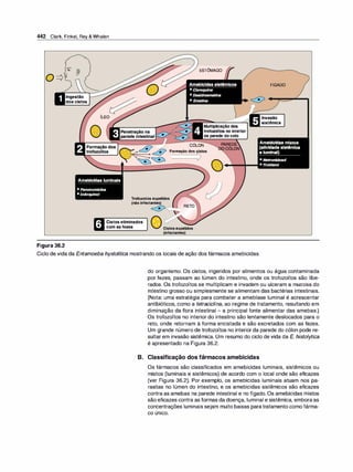 Farmacologia ilustrada 5° ediçao.pdf