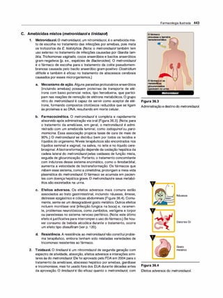 Farmacologia ilustrada 5° ediçao.pdf