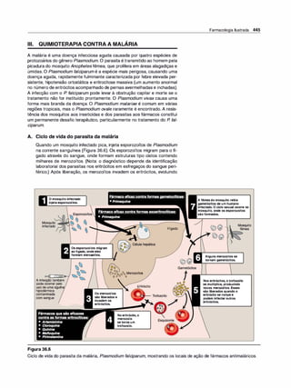 Farmacologia ilustrada 5° ediçao.pdf