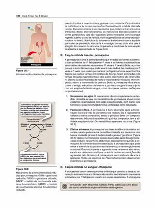 Farmacologia ilustrada 5° ediçao.pdf