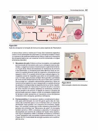 Farmacologia ilustrada 5° ediçao.pdf