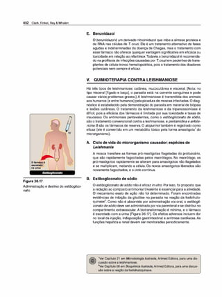 Farmacologia ilustrada 5° ediçao.pdf