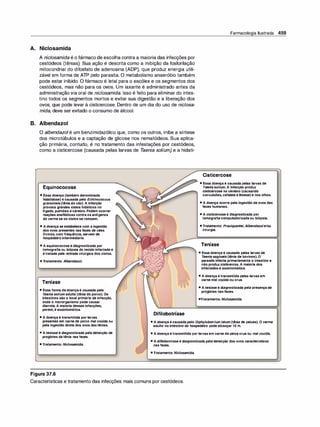 Farmacologia ilustrada 5° ediçao.pdf