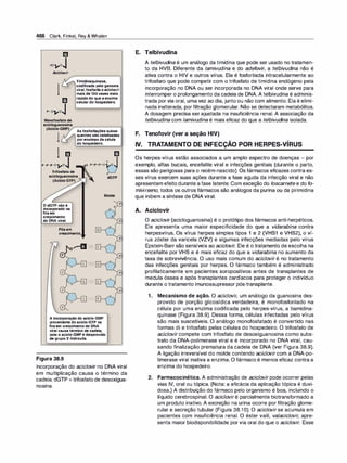 Farmacologia ilustrada 5° ediçao.pdf