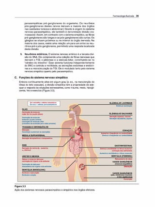 parassimpáticas pré-ganglionares do organismo. Os neurônios
pós-ganglionares destes nervos inervam a maioria dos órgãos
nas cavidades torácica e abdominal.) Devido à origem do sistema
nervoso parassimpático, ele também é denominado divisão cra­
niossacral.Assim, em contraste com o sistema simpático, as fibras
pré-ganglionares são longas e as pós-ganglionares são curtas. Os
gânglios se situam próximos ou no interior do órgão inervado. Na
maioria dos casos, existe uma relação um-para-um entre os neu­
rônios pré e pós-ganglionares, permitindo uma resposta localizada
desta divisão.
5. Neurônios entéricos. O sistema nervoso entérico é a terceira divi­
são do SNA. Ele compreende uma coleção de fibras nervosas que
inervam o TGI, o pâncreas e a vesícula biliar, constituindo-se no
"cérebro do intestino". Esse sistema funciona independentemente
do SNC e controla a motilidade, as secreções exócrinas e endócri­
nas e a microcirculação do TGI. Ele é modulado tanto pelo sistema
nervoso simpático quanto pelo parassimpático.
C. Funções do sistema nervoso simpático
Embora continuamente ativa em algum grau (p. ex., na manutenção do
tônus do leito vascular), a divisão simpática tem a propriedade de ade­
quar a resposta às situações estressantes, como trauma, medo, hipogli­
cemia, frio e exercício (Figura 3.3).
OLHO
Emvermelho=efeitossimpáticos
Emazul=efeitosparassimpáticos
Contraçãodomúsculo
radialdaíris(pupiladilata)
Contraçãodomúsculo
esfincter(pupilacontrai)
contraçãodomúsculociliar
(cristalinoseacomodaparavisãopróxima)
TRAQUEIAEBRONQUÍOLOS
Dilatação
Constriçãoaumentamassecreções
MEDULASUPRARRENAL
Secreçãodeepinefrinaenorepinefrina
RINS
Secreçãodarenina(131 aumenta;
a1 diminui)
URETEREBEXIGA
Relaxaomúsculodetrusor;
contraçãodotrígonoedoesfincter
Contraçãododetrusor;
relaxamentodotrígonoedoesfincter
GENITÁLIA(MASCULINA)
Estimulaaejaculação
Estimulaaereção
Figura 3.3
Ação dos sistemas nervosos parassimpático e simpático nos órgãos efetores.
Farmacologia Ilustrada 39
GLÂNDULASLACRIMAIS
Estimulalacrimação
GLÂNDULASSALIVARES
Secreçãoespessa,viscosa
Secreçãoabundante,aquosa
CORAÇÃO
Aumentaafrequênciaeacontratilidade
Diminuiafrequênciaeacontratilidade
GASTRINTESTINAL
Diminuiamotilidadeeotônusmuscular;
contraçãodosesfíncteres
Aumentaamotilidadeeotônusmuscular
GENITÁLIA(FEMININA)
Relaxamentodoútero
VASOSSANGUÍNEOS
(músculoesquelético)
Dilatação
VASOSSANGUÍNEOS
(pele,membranasmucosas
eáreaesplãncnica)
Constrição
 