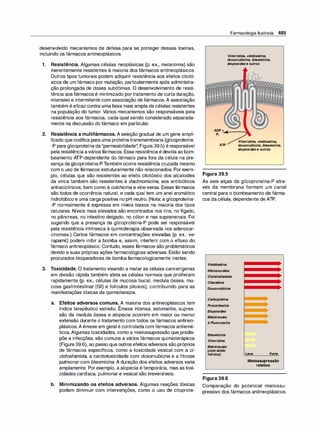 Farmacologia ilustrada 5° ediçao.pdf