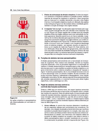 40 Clark, Finkel, Rey &Whalen
Estímulos
"luteoufuja"
Descargasimpática
(difusa porque os neurônios
pós-ganglionares podem inervar
mais de um órgão)
Estímulos
"repouseedigira"
Descargaparassimpática
(localizada porque os neurônios
pós-ganglionares não são ramificados,
mas se dirigem a um órgão específico)
Asaçõessimpáticae
parassimpáticacom
frequênciaseopõem
Figura 3.4
As ações simpática e parassimpática
são desencadeadas por estímulos di­
ferentes.
1. Efeitos da estimulação da divisão simpática. O efeito do simpáti­
co é aumentar a frequência cardíaca e a pressão arterial, mobilizar
reservas de energia do organismo e aumentar o fluxo sanguíneo
para os músculos e o coração desviando-o da pele e dos órgãos
internos. A estimulação simpática resulta em dilatação das pupilas
e dos brônquios (Figura 3.3). Elatambém afeta a motilidade gastrin­
testinal e a função da bexiga e dos órgãos sexuais.
2. A resposta "lute ou fuja". As alterações experimentadas pelo orga­
nismo durante emergências têm sido referidas como respostas "lute
ou fuja" (Figura 3.4). Essas reações são iniciadas tanto por ativação
simpática direta dos órgãos efetores quanto por estimulação da me­
dula suprarrenal, liberando epinefrina e, em menor extensão, norepi­
nefrina.Os hormônios liberados pelasuprarrenal entram na circulação
sanguínea e promovem resposta nos órgãos efetores, que contêm re­
ceptores adrenérgicos (ver Figura 6.6). O sistema nervoso simpático
tende a funcionar como uma unidade e com frequência descarrega
como um sistema completo - por exemplo, durante um exercício in­
tenso ou em reações de medo (ver Figura 3.4). Esse sistema, com
sua distribuição difusa das fibras pós-ganglionares, está envolvido
com umaamplavariedade de atividadesfisiológicas. Embora não seja
essencial para avida, é um sistema importante que preparao organis­
mo para lidarcom situações incertas e estímulos inesperados.
D. Funções do sistema nervoso parassimpático
A divisão parassimpática está envolvida com a manutenção da homeos­
tasia do organismo. Para realizar esta atividade, mantém as funções
corporais essenciais, como os processos digestórios e a eliminação de
resíduos. A divisão parassimpática é necessária para a vida. Geralmente
ela atua para oporou para equilibrar as ações da divisão simpática e, em
geral, é dominante sobre o sistema simpático e situações de "repouse e
digira". O sistema parassimpático não é uma entidade funcional como tal
e nunca descarrega como um sistema completo. Se isso acontecer, ele
produz sintomas massivos, indesejáveis e desagradáveis, como micção
e defecação involuntária. De fato, apenas algumas fibras parassimpáticas
são ativadas separadamente, e o sistema funciona para afetar órgãos
específicos, como o estômago ou o olho.
E. Papel do sistema nervoso central no
controle das funções autônomas
Embora o SNA seja um sistema motor, ele requer impulsos sensoriais
de estruturas periféricas para proporcionar informações sobre o estado
das funções do organismo. Essa retroalimentação é proporcionada pelas
ondas de impulsos aferentes, originados nas vísceras e em outras estru­
turas inervadas pelo sistema autônomo, que vão até os centros integra­
dores no SNC - como, o hipotálamo, o bulbo e a medula espinal. Esses
centros respondem ao estímulo enviando impulsos reflexos eferentes por
meio do SNA (Figura 3.5).
1. Arcos reflexos. A maioria dos impulsos aferentes é transforma­
da em respostas reflexas sem envolvimento da consciência. Por
exemplo, uma redução da pressão arterial determina que neurônios
sensíveis à pressão (barorreceptores no coração, veia cava, arco
aórtico e seios carotídeos) enviem menos impulsos aos centros car­
diovasculares no cérebro. Isso determina uma resposta reflexa de
aumento do débito simpático ao coração e aos vasos e diminui o
débito parassimpático para o coração, resultando em um aumen­
to compensador da pressão arterial e taquicardia (ver Figura 3.5).
 