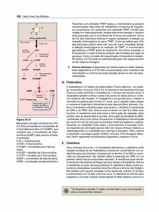 Farmacologia ilustrada 5° ediçao.pdf