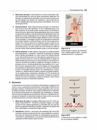 Farmacologia ilustrada 5° ediçao.pdf