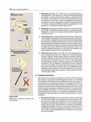Farmacologia ilustrada 5° ediçao.pdf
