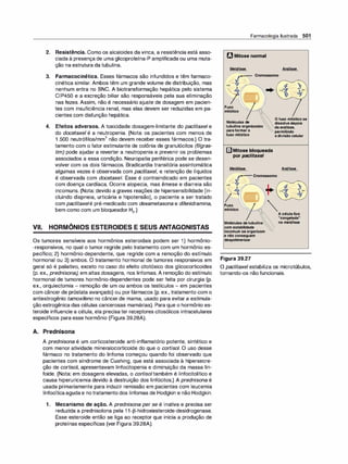 Farmacologia ilustrada 5° ediçao.pdf