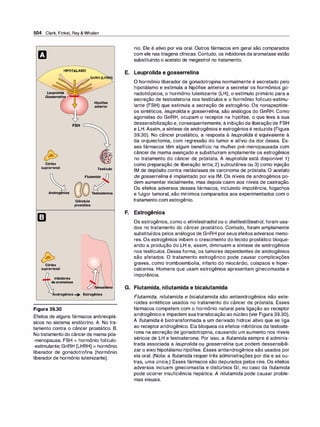 Farmacologia ilustrada 5° ediçao.pdf