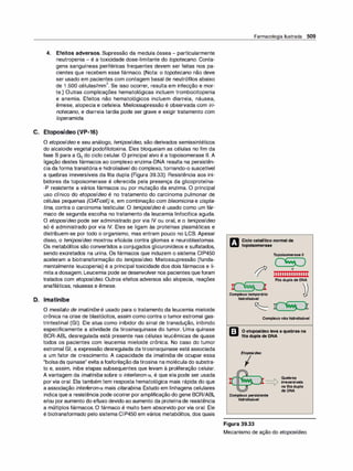 Farmacologia ilustrada 5° ediçao.pdf