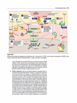 Farmacologia ilustrada 5° ediçao.pdf