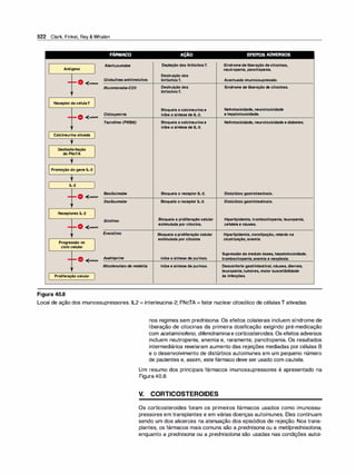 Farmacologia ilustrada 5° ediçao.pdf