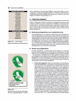 Farmacologia ilustrada 5° ediçao.pdf