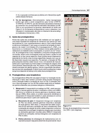 Farmacologia ilustrada 5° ediçao.pdf